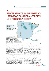 Brotes atípicos de enfermedad hemorrágica vírica enconejos en la Península Ibérica