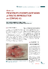 Principales lesiones asociadas al tracto reproductor en conejas (II)