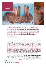 ASEMUCE presenta el expediente de aprobación y reconocimiento oficial de las razas cunícolas de España