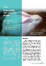 Enteropatía epizoótica del conejo