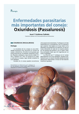 Enfermedades parasitarias más importantes del conejo: Oxiuridosis (Passalurosis)